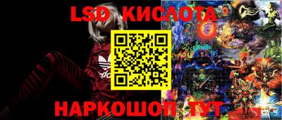 соль ск Партизанск