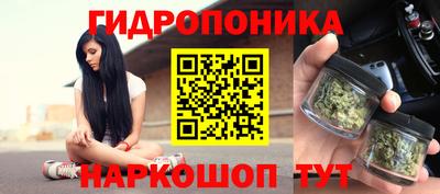 соль ск Партизанск